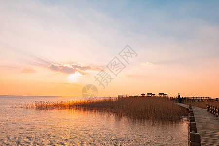 崇明西沙湿地背景图片