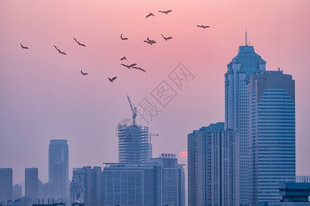 粉色燕子天空飞过的群燕背景