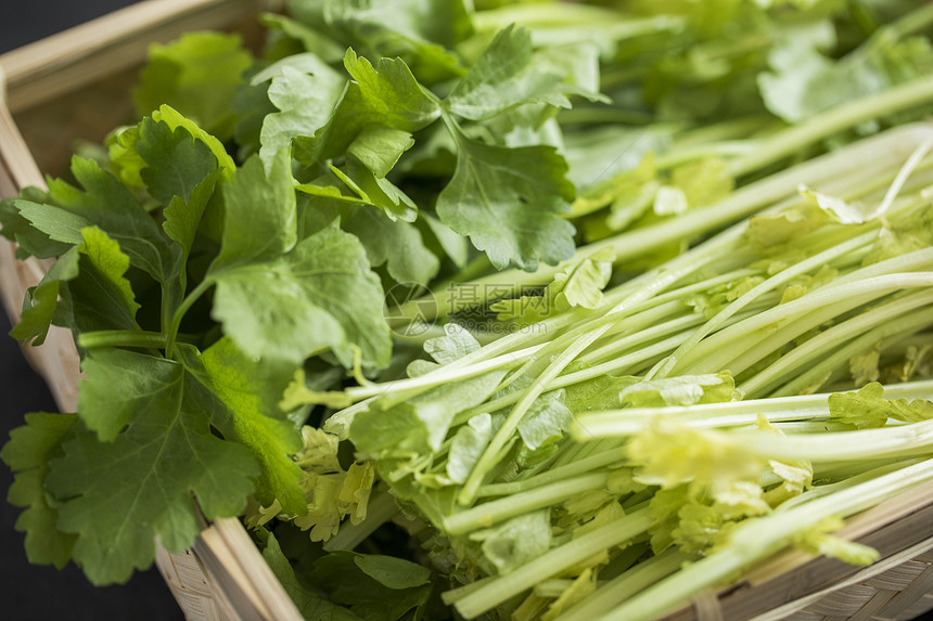 绿色食品芹菜图片