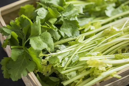 绿色食品芹菜高清图片