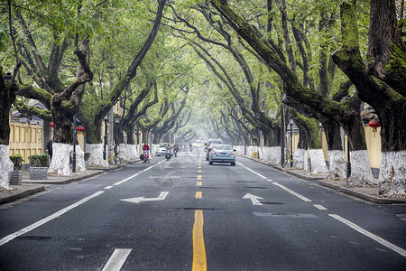 南京交通南京的马路背景