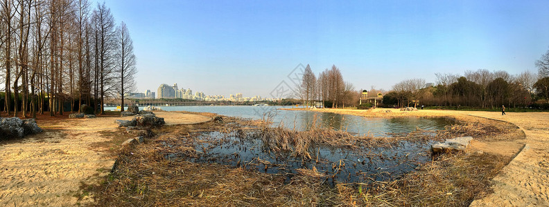 上海世纪公园风光度假高清图片素材