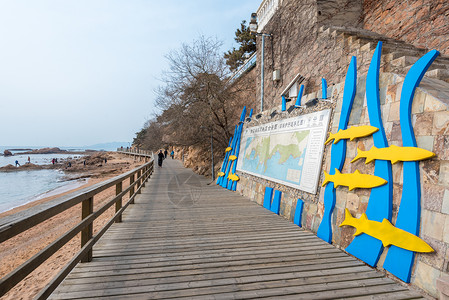 盐田海滨栈道青岛海滨风光背景