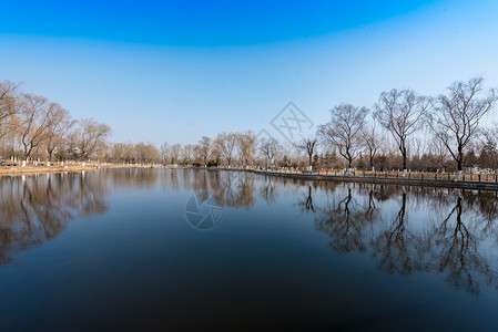 济南植物园风光背景图片