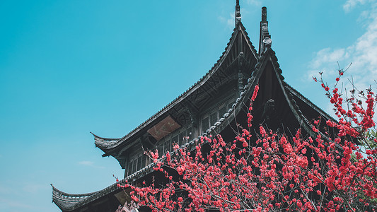 中国风桃花边框桃花与寺庙背景
