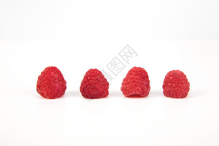 红莓果红树莓背景