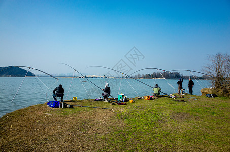 钓鱼背景东湖边垂钓的人背景