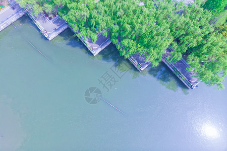 汉口码头俯瞰武汉西北湖城市绿道背景