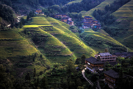 壮族纹样桂林龙脊梯田背景