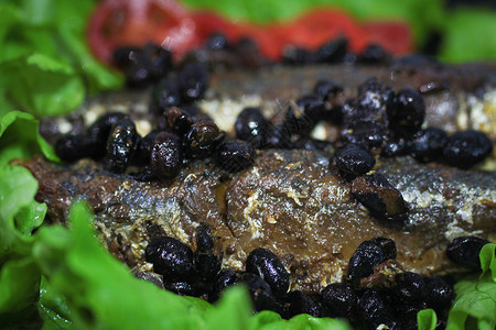 豆豉沙丁鱼罐头背景图片