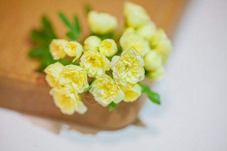 黄色小花素材重瓣黄木香花背景