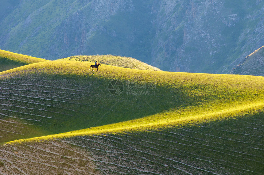 新疆天山牧场图片
