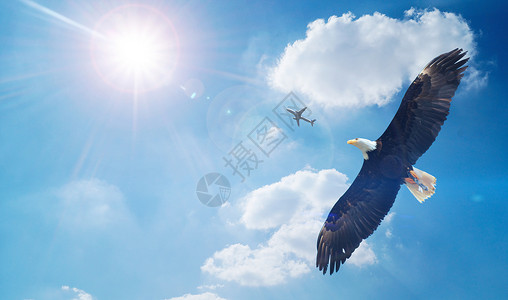 早安励志海报翱翔的老鹰设计图片