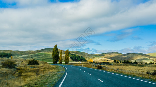 乡间路新西兰路背景