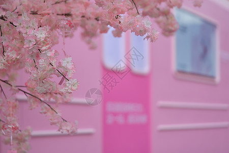樱花列车樱花街景高清图片
