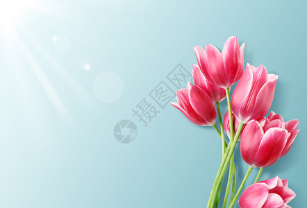 母亲节花束边框母亲节花卉背景设计图片