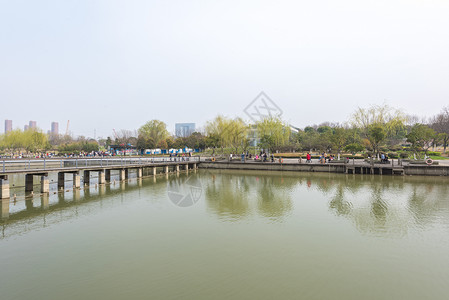 观音塘湿地公园苏州白塘植物园背景