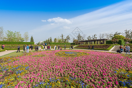 安徽滁州花博园风光公园高清图片素材