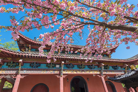 青岛琅琊台安徽滁州琅琊山琅琊寺背景