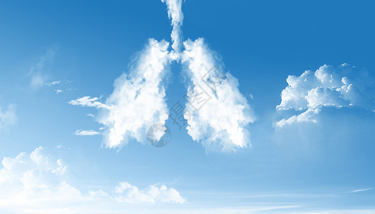 养肺空气净化设计图片