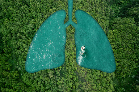 植物环绕肺部健康呼吸设计图片