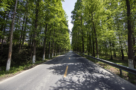 最美公路野外道路高清图片