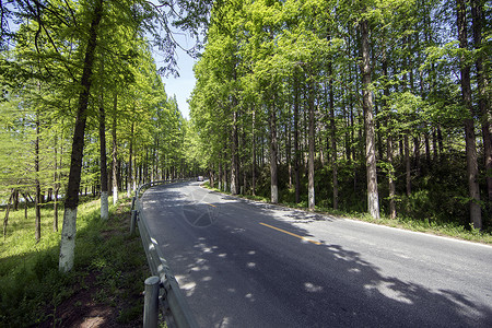 最美公路背景图片