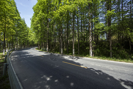 最美公路野外道路高清图片