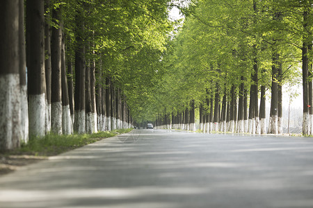 最美公路背景图片