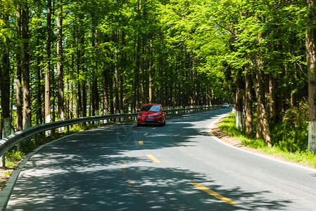公路上行驶的汽车树叶高清图片素材