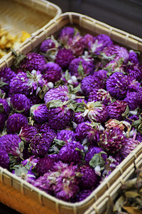 紫色龙胆花干花茶背景