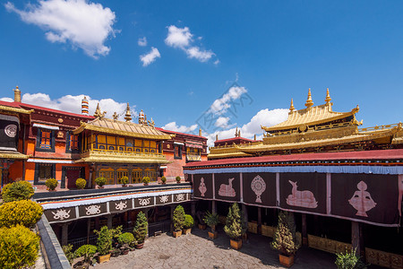 西藏大昭寺当地著名景点高清图片