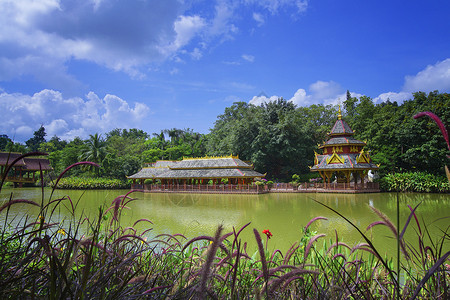 小区园景西双版纳曼听公园背景