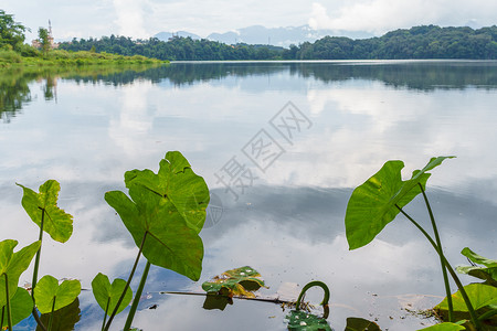 云南勐梭龙潭背景