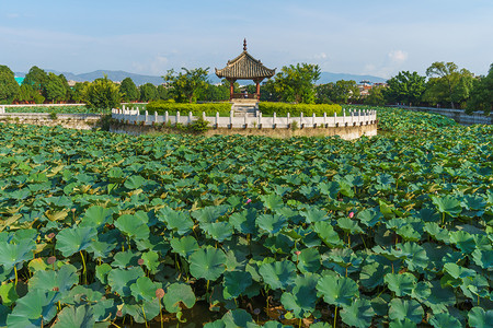 云南建水孔庙背景图片