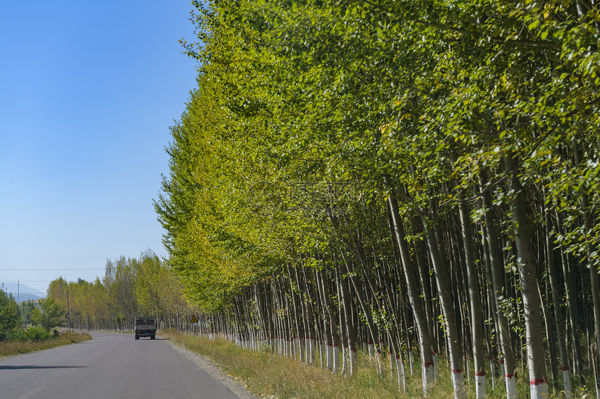 新疆独库公路图片