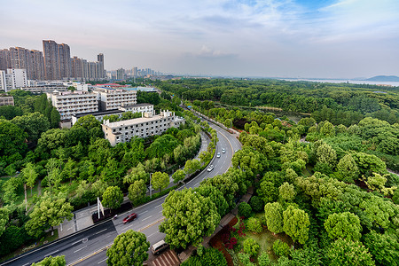 环保道路城市绿肺背景