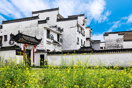 婺源春天风景高清图片素材