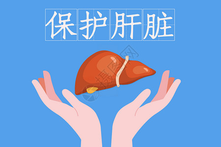 保护肝脏身体身体保养高清图片