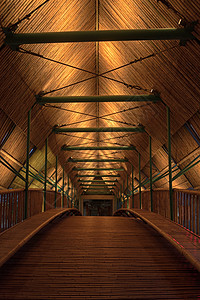 夜晚的竹子走廊对称高清图片素材
