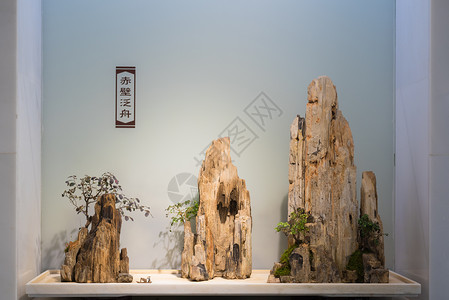 中式审美室内盆景高清图片