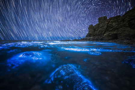 矢量星空鹿插画荧光海滩下的星轨背景
