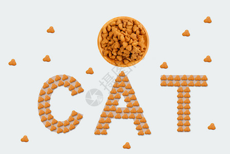 创意猫宠物食品设计图片