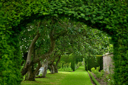 英国霍华德庄园花园园林艺术背景图片