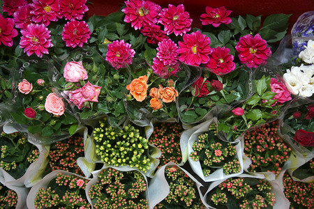 花市卖花鲜艳鲜花植物高清图片