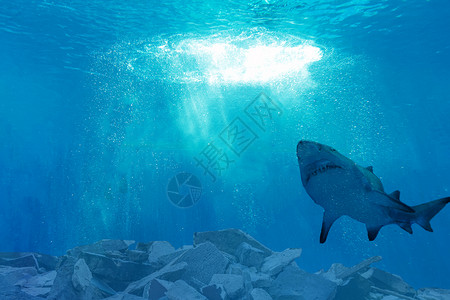 大白鲨海洋污染设计图片