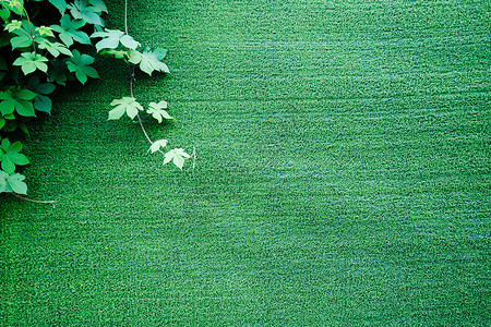 绿叶背景墙背景图片
