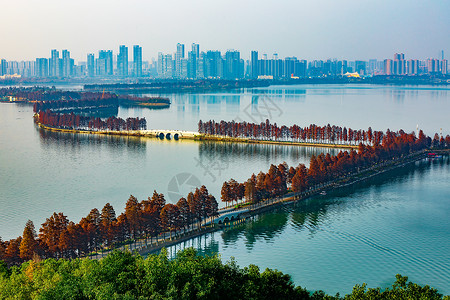 景区步行武汉东湖风景区绿道背景