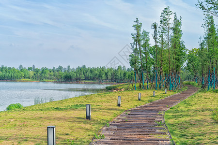 空气清新背景湖边适合散步的小路背景