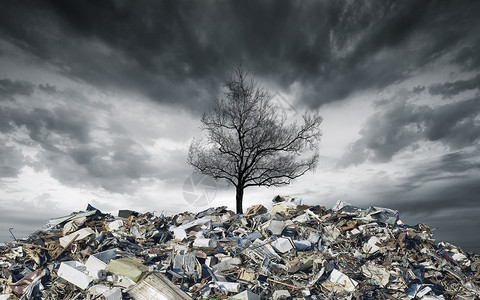 环境污染枯树高清图片素材